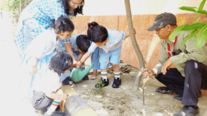 Developing Care for the Environment: Practices for Sustainability in Schools